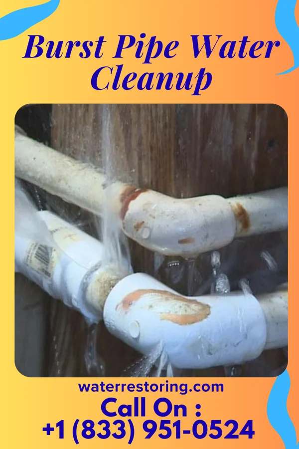 Burst Pipe Water Cleanup in Ball Club, MN