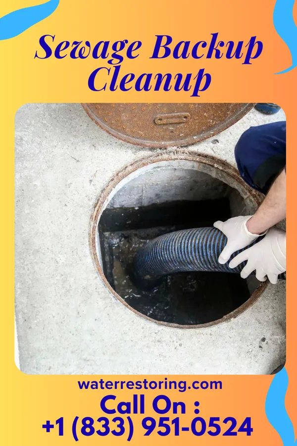 Sewage Backup Cleanup in Ball Club, MN