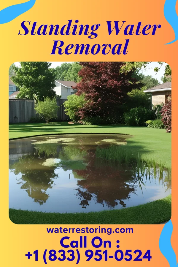 Standing Water Removal in Ball Club, MN